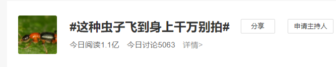 这种虫子毒液堪比硫酸，千万小心！