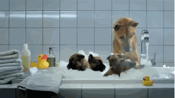 这样洗澡=生病+短命，尤其是夏天！