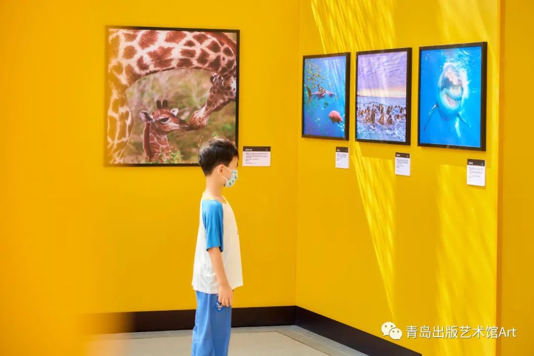 生动震撼的奇妙旅程!「少年派环球奇旅」欢乐开幕