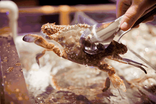 「食物相克」到底存不存在?