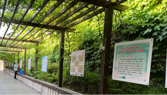 1_（端午假期）节庆文化旅游商业活动信息1955.png
