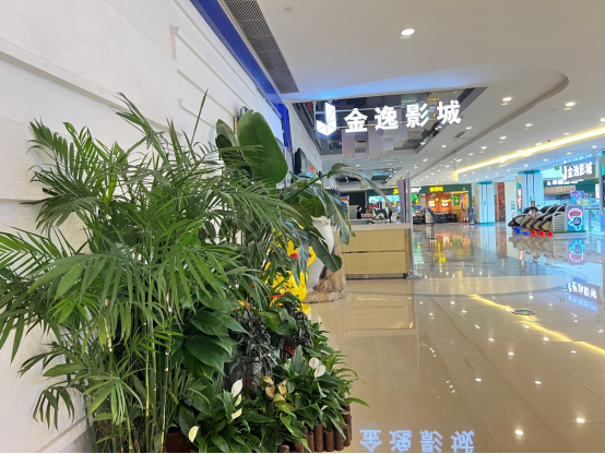 1_（端午假期）节庆文化旅游商业活动信息3512.png