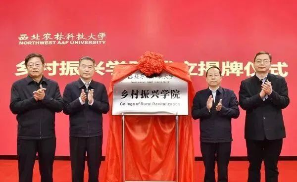 多所高校成立新学院！