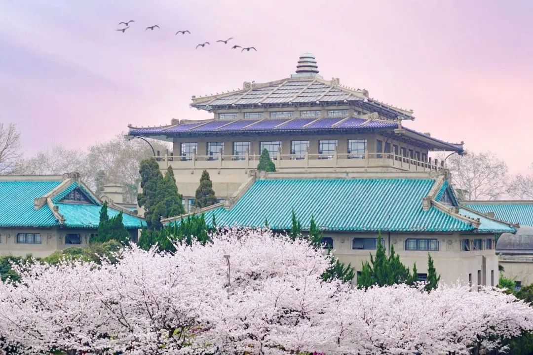 武汉大学2022年强基计划招生简章发布