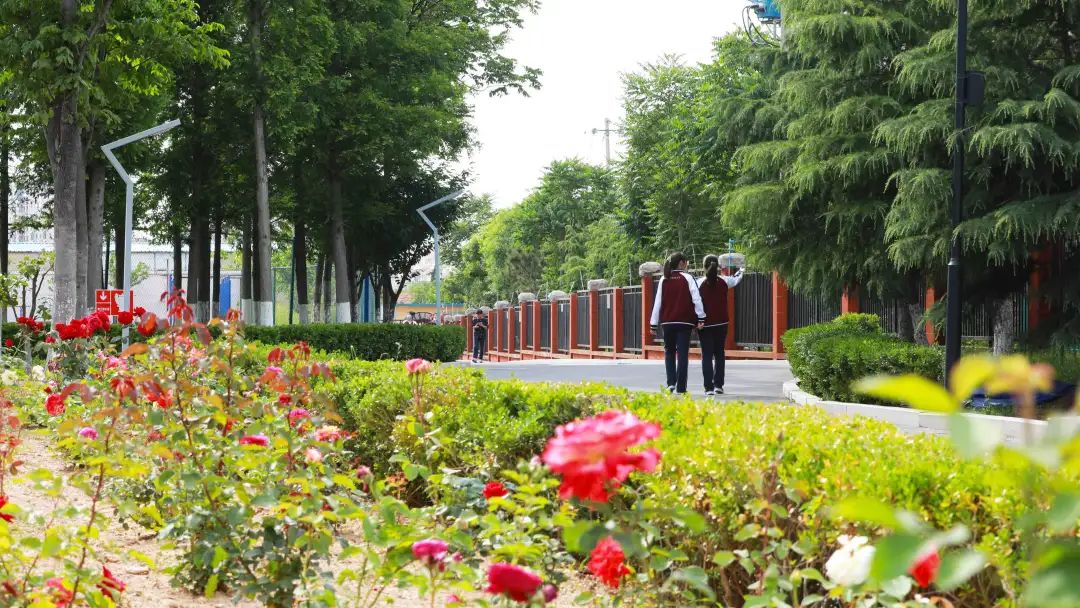 相约六十八,书写属于你的青春