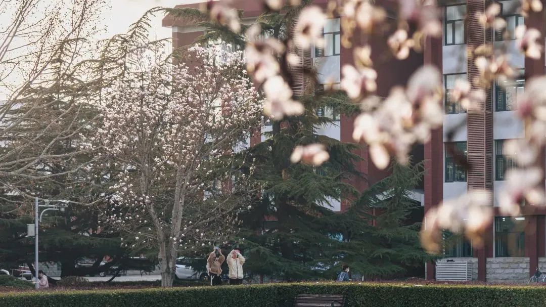 高考倒计时!多所“双一流”公布今年招生变化