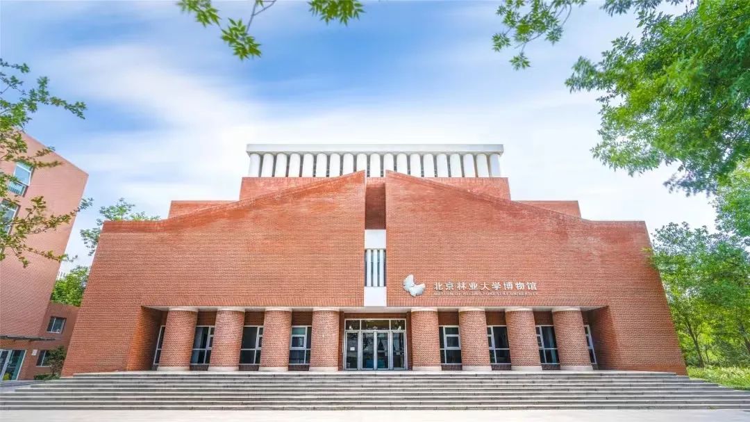 高考倒计时!多所“双一流”公布今年招生变化