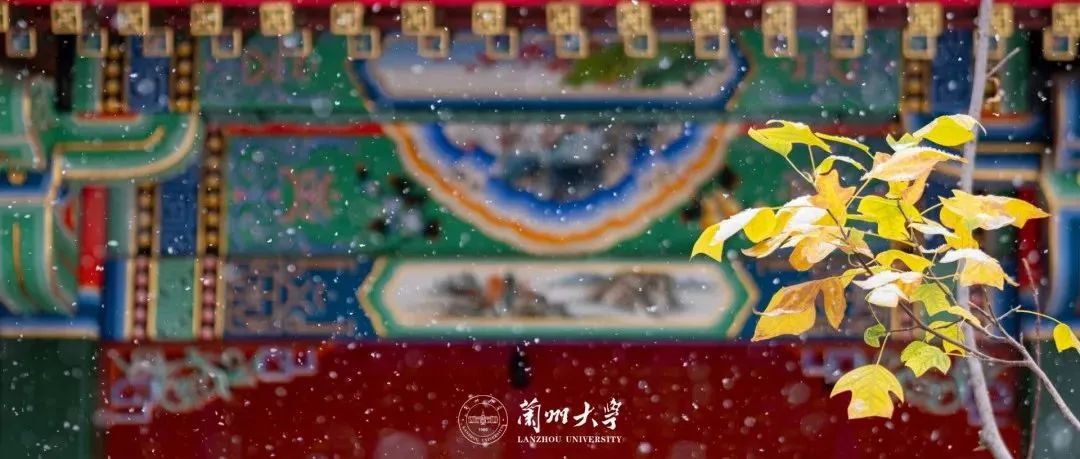 高考倒计时!多所“双一流”公布今年招生变化