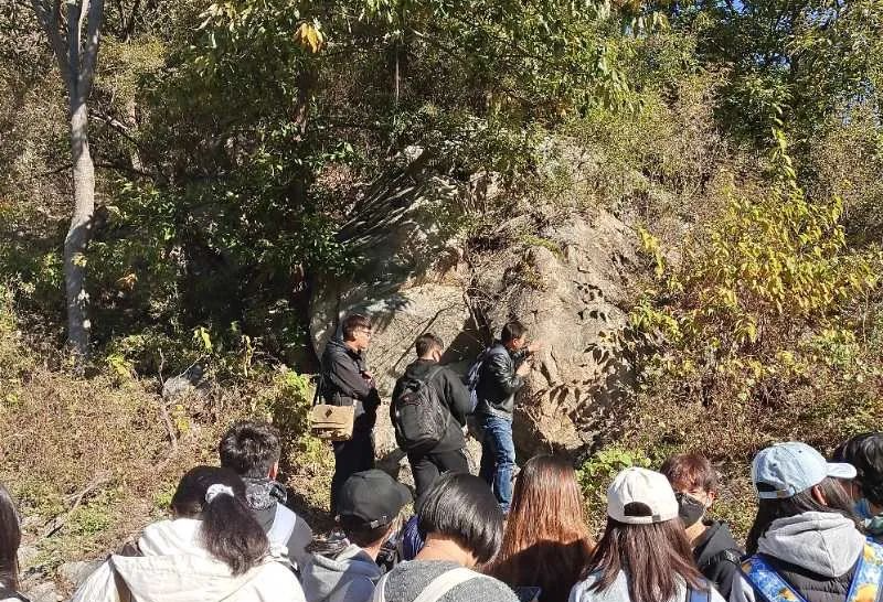 别崩溃，这些专业的攻略送给你