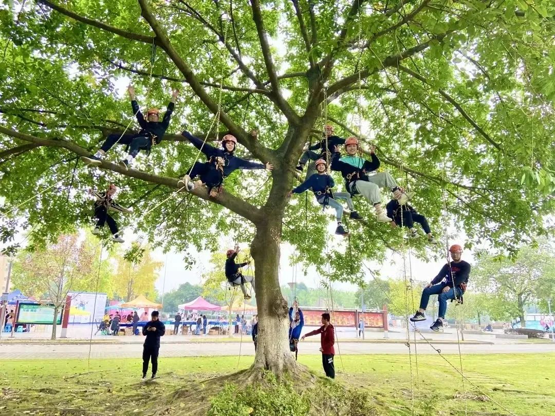 @大学萌新:大波高校特色课程来袭,哪门课最能吸引你?