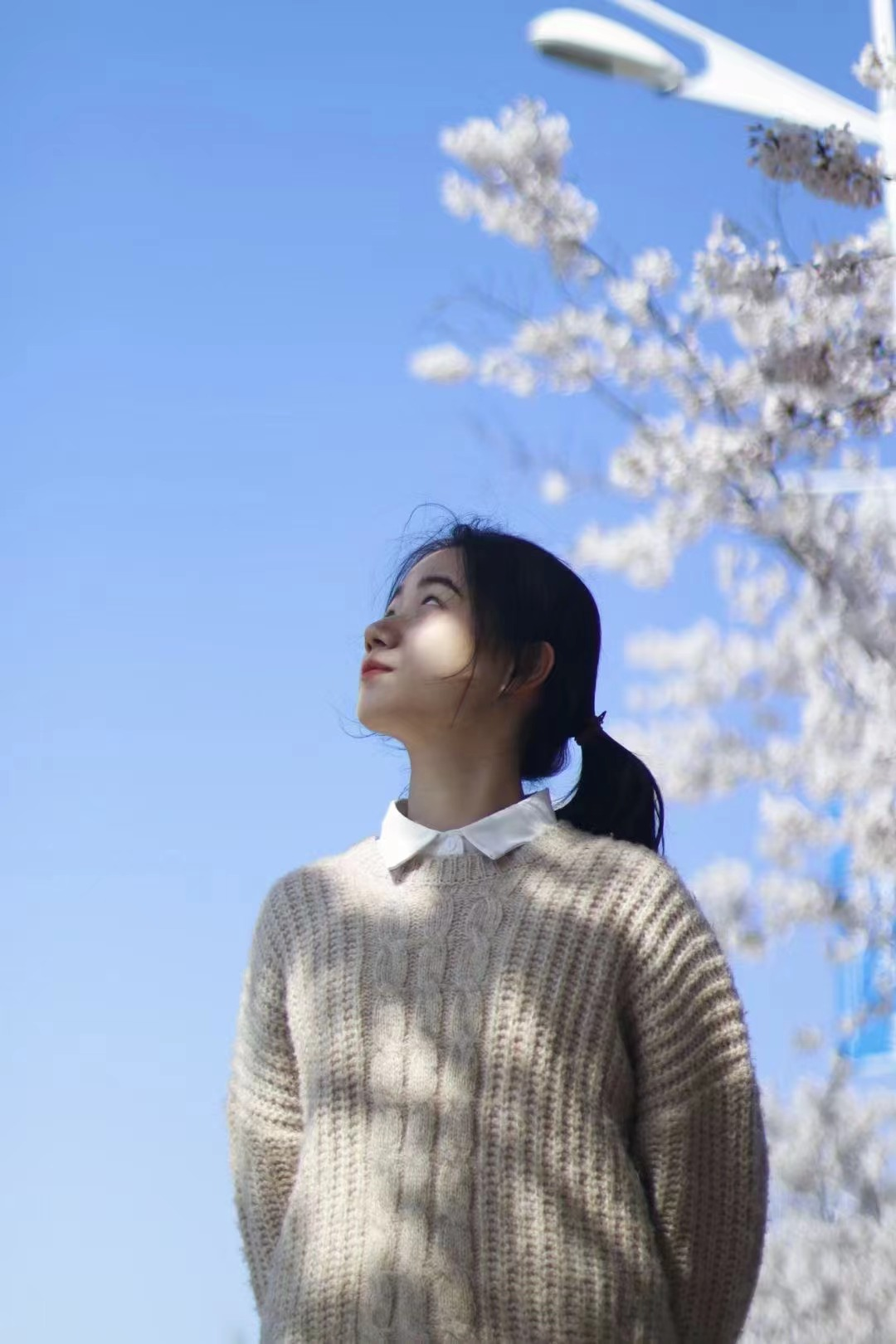 强基计划——基础学科拔尖人才培养的海大方案