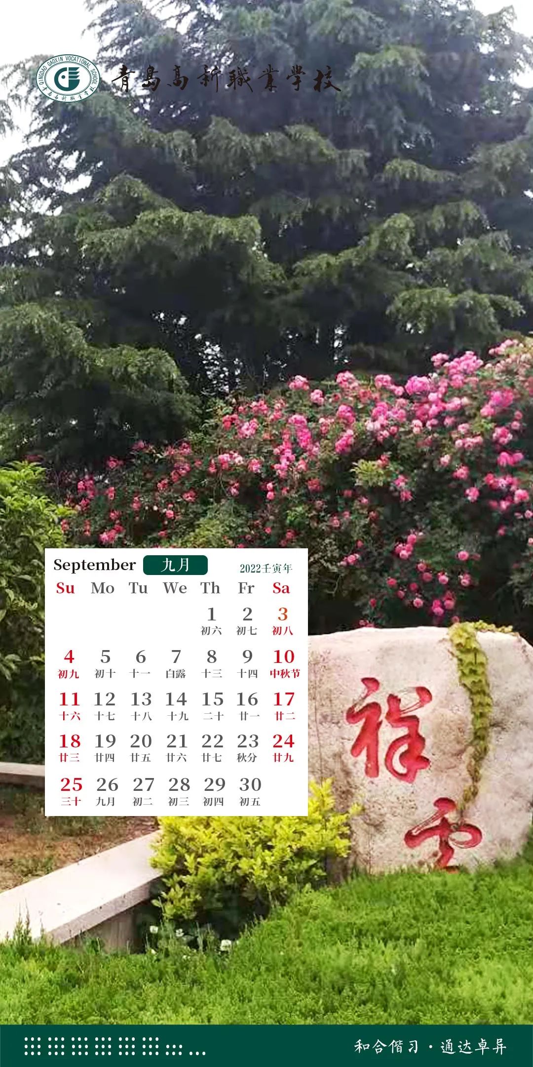 微信图片