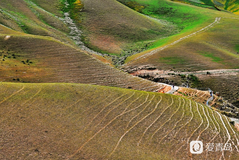 行走中的风景：穿行山脊上的莽原 来喀拉峻感受原始的自然之美
