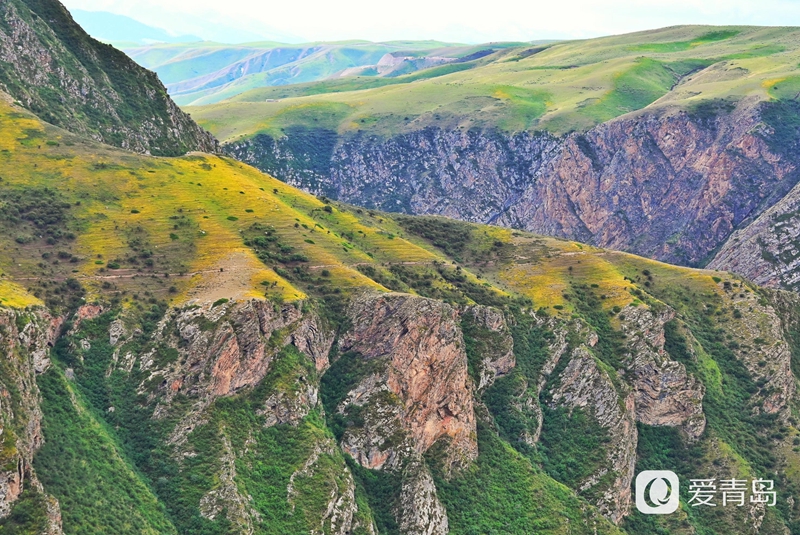 行走中的风景：穿行山脊上的莽原 来喀拉峻感受原始的自然之美