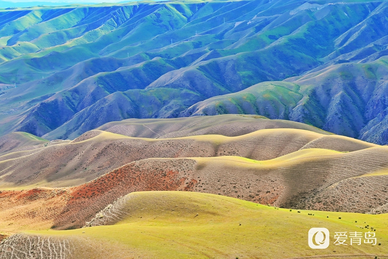 行走中的风景：穿行山脊上的莽原 来喀拉峻感受原始的自然之美