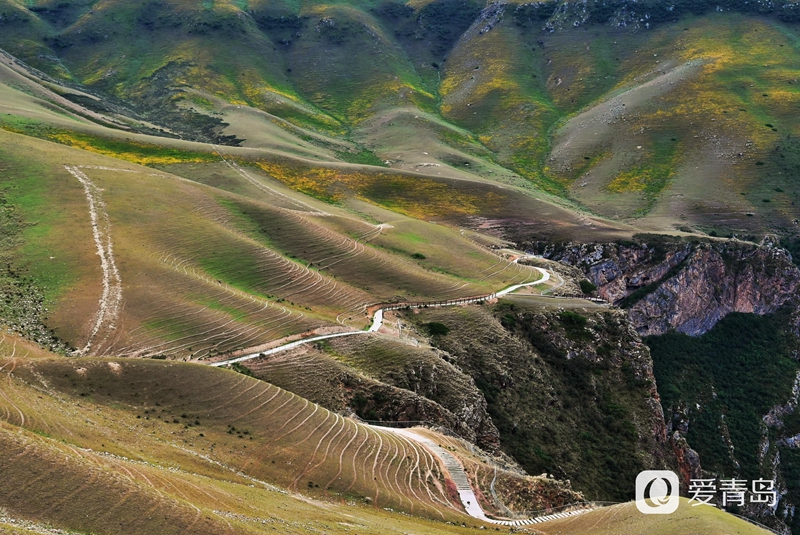 行走中的风景：穿行山脊上的莽原 来喀拉峻感受原始的自然之美