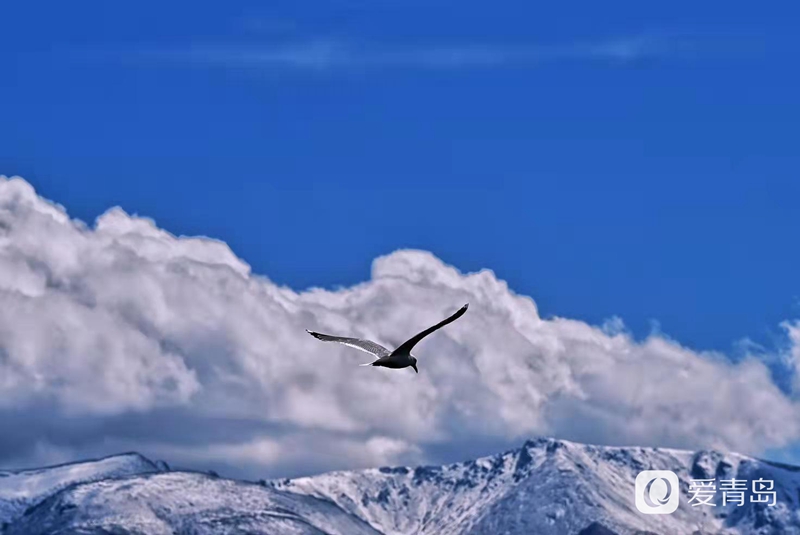 行走中的风景：穿行山脊上的莽原 来喀拉峻感受原始的自然之美
