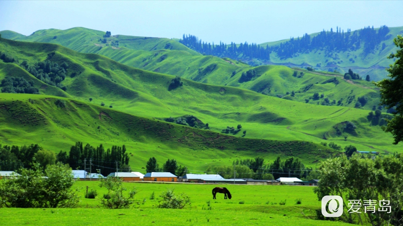 行走中的风景：穿行山脊上的莽原 来喀拉峻感受原始的自然之美