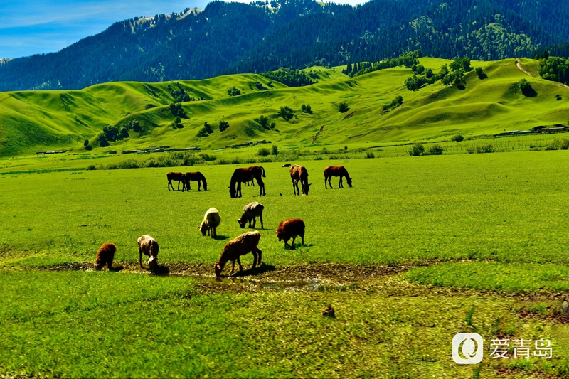 行走中的风景：穿行山脊上的莽原 来喀拉峻感受原始的自然之美