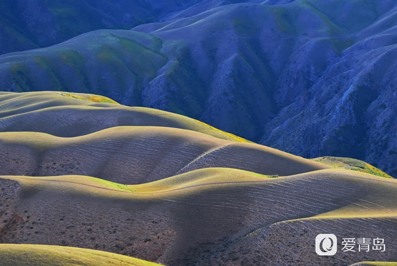 行走中的风景：穿行山脊上的莽原 来喀拉峻感受原始的自然之美