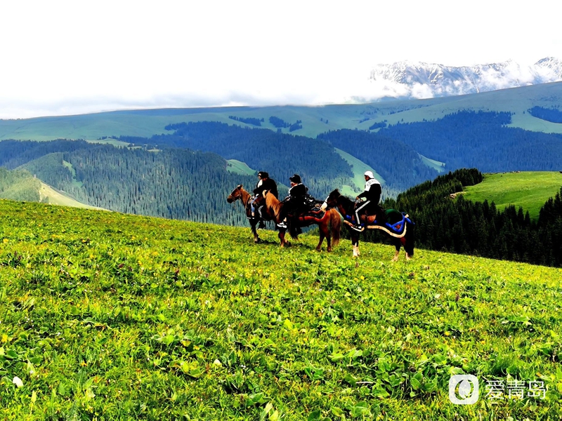 行走中的风景：穿行山脊上的莽原 来喀拉峻感受原始的自然之美