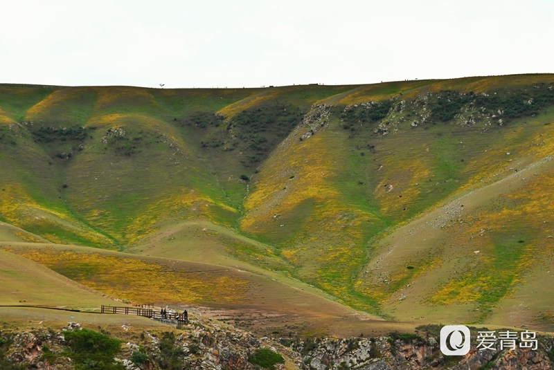 行走中的风景：穿行山脊上的莽原 来喀拉峻感受原始的自然之美