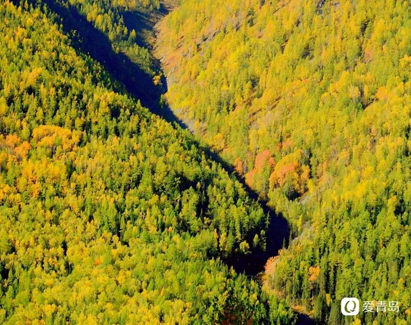 行走中的风景:寻梦喀纳斯 山明水秀的养心之地