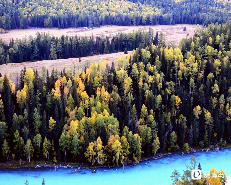 行走中的风景:寻梦喀纳斯 山明水秀的养心之地
