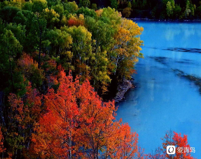 行走中的风景：寻梦喀纳斯 山明水秀的养心之地