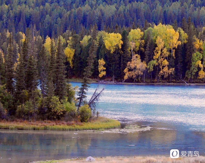 行走中的风景:寻梦喀纳斯 山明水秀的养心之地