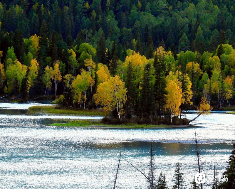 行走中的风景:寻梦喀纳斯 山明水秀的养心之地
