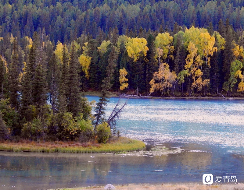 行走中的风景：寻梦喀纳斯 山明水秀的养心之地