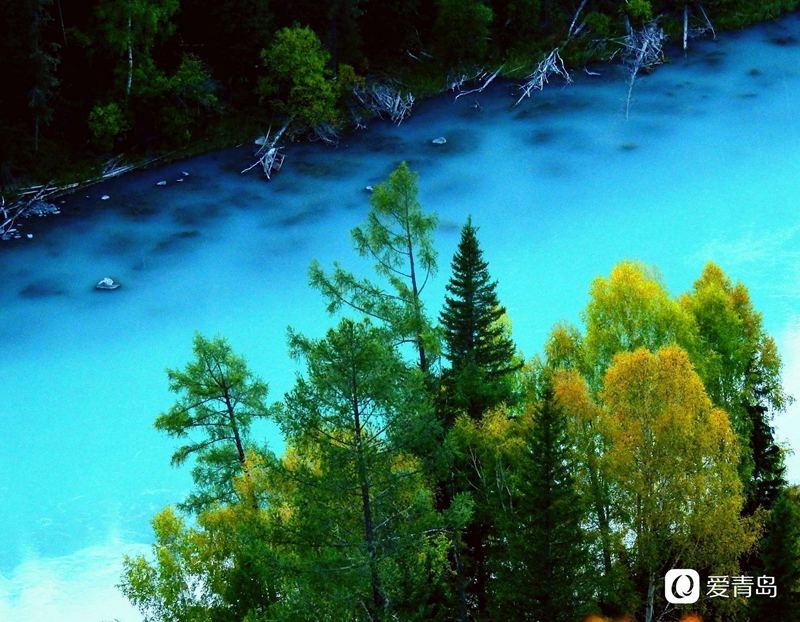 行走中的风景:寻梦喀纳斯 山明水秀的养心之地