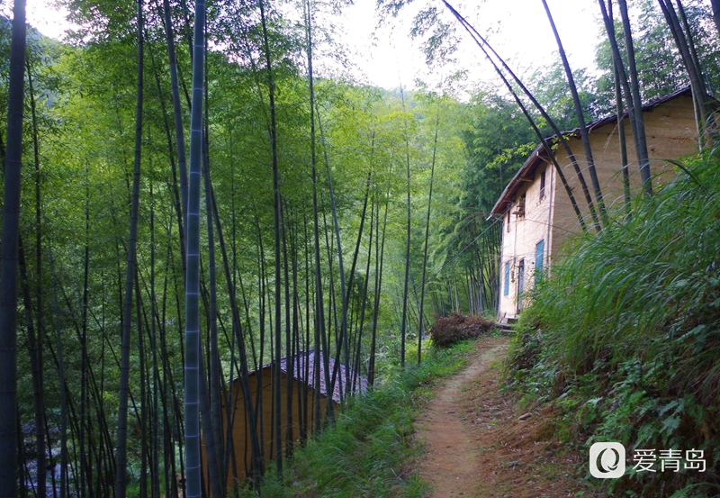 行走中的风景:穿行松阳古老的街道 探寻藏在深山的秘境