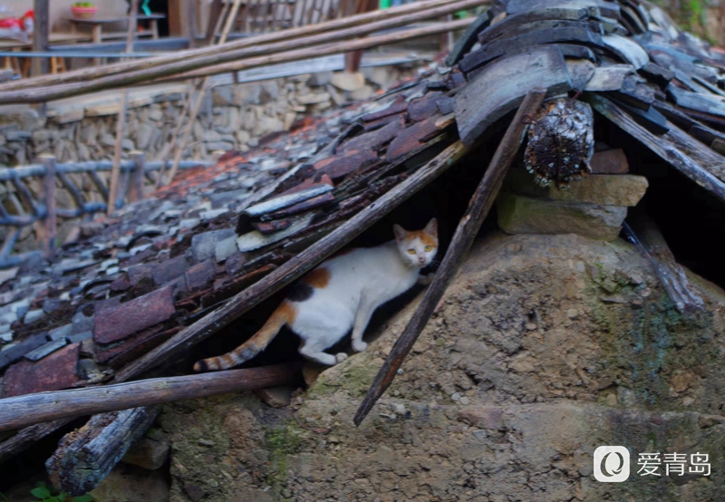 行走中的风景:穿行松阳古老的街道 探寻藏在深山的秘境