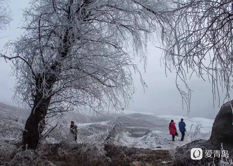 行走中的风景：昙花一现的冰雪世界 梦境般的世外桃源