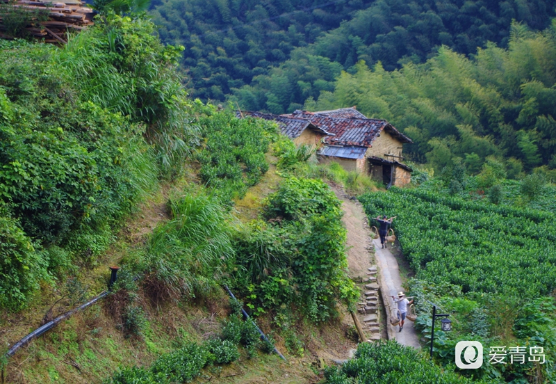 行走中的风景:穿行松阳古老的街道 探寻藏在深山的秘境