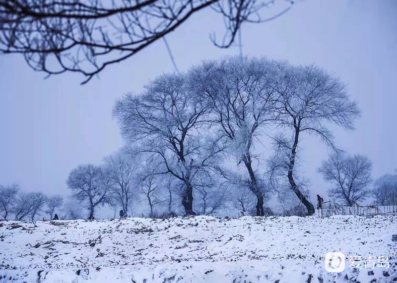 行走中的风景:昙花一现的冰雪世界 梦境般的世外桃源