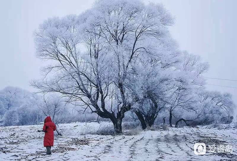 行走中的风景:昙花一现的冰雪世界 梦境般的世外桃源