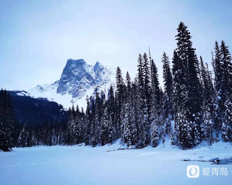 行走中的风景:找寻落基山自然密码 闯入神秘冰雪世界