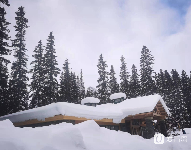行走中的风景:找寻落基山自然密码 闯入神秘冰雪世界