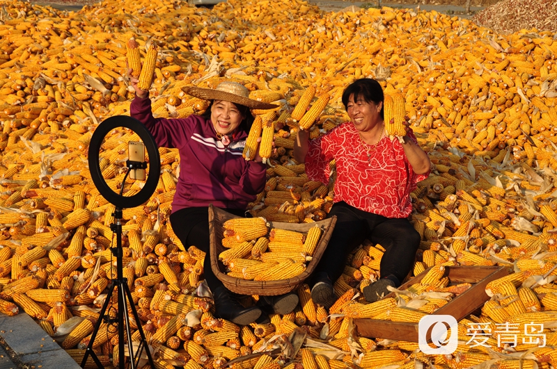 这些瞬间你还记得吗？2021“最美青岛”视觉大赛年度摄影作品揭晓！