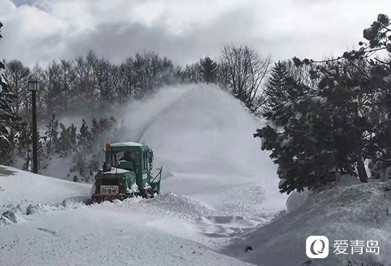 行走中的风景：沙扬娜拉！北海道那一抹洁白的温柔