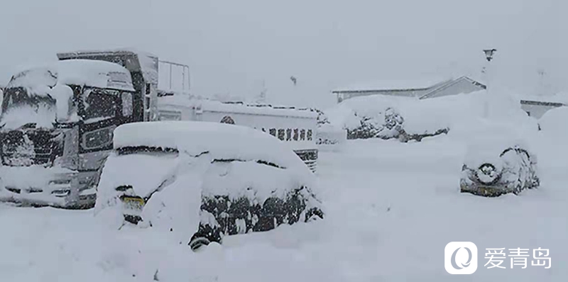 行走中的风景：沙扬娜拉！北海道那一抹洁白的温柔