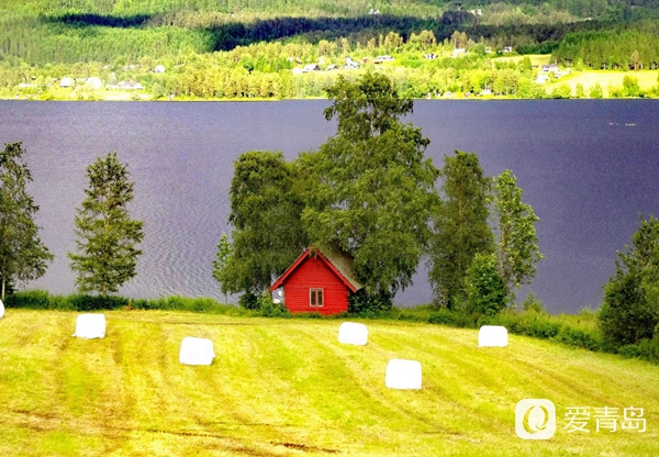 行走中的风景:哈当厄尔峡湾巡游 感受田园牧歌般的静谧世界