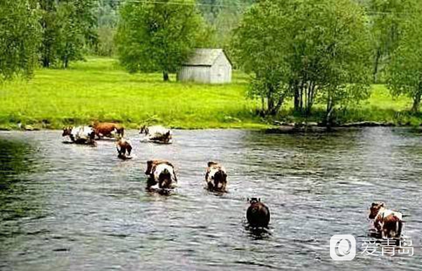 行走中的风景:哈当厄尔峡湾巡游 感受田园牧歌般的静谧世界