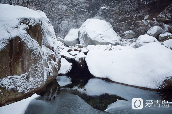崂山最新雪景大片流出!银装素裹,宛如穿越冰河世纪