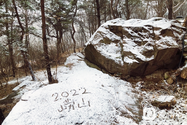 崂山最新雪景大片流出!银装素裹,宛如穿越冰河世纪