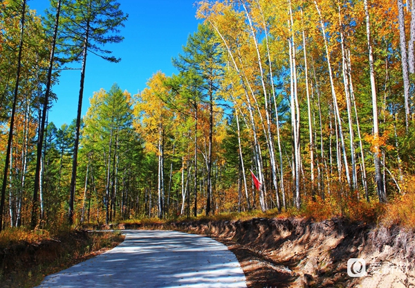 行走中的风景：穿行神州极北 探秘漠河北极村