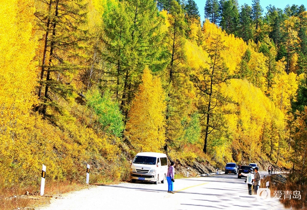行走中的风景：穿行神州极北 探秘漠河北极村